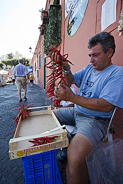 Chili streed dealer, Ponza Island, Pontine Islands, Lazio, Italy