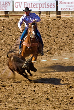 Rodeo, Buckeye, Maricopa County, Arizona, United States of America, North America 