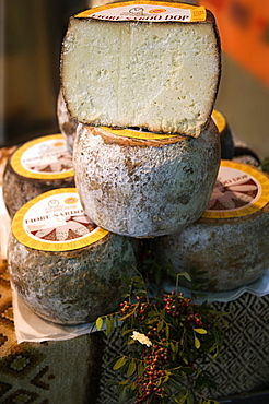 Fiore Sardo, cheese from Sardinia, Terra Madre fair, Turin, Piedmont, Italy