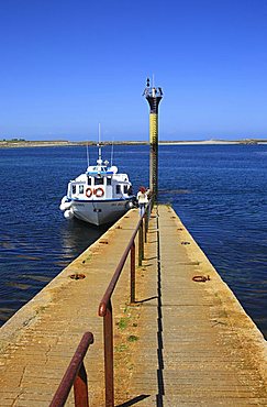 Port, Roscoff, Finistère department , Bretagne, France, Europe