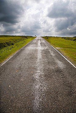 Exmoor National Park, Cornwall, England, Great Britain
