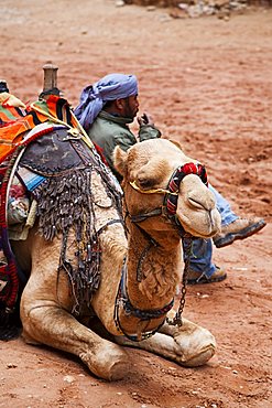 Middle East, Jordan, Petra, the ancient nabatean capital