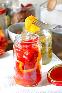 Home made peppers in olive oil, Italy, Europe