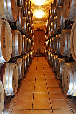 Cantina di Jerzu cellar, Jerzu, Ogliastra, Sardinia, Italy, Europe 