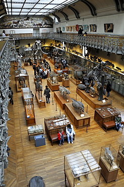 Museum National d'Histoire Naturelle, Jardin des Plantes botanical garden, Paris, Ile-de-France, France, Europe