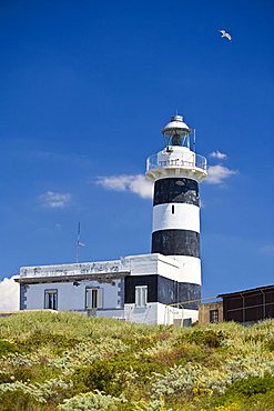 Capo Sant'Elia lighthouse, Calamosca, Cagliari, Sardinia, Italy, Europe