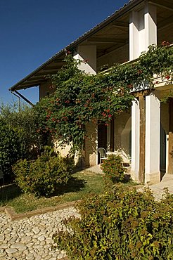 Agriturismo Subretia, Montefalco, Umbria, Italy, Europe