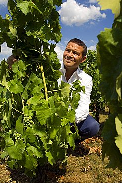 Marco Caprai, Cantine Arnaldo Caprai, Montefalco, Umbria, Italy, Europe