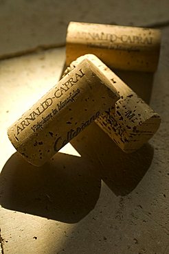 Corks, Cantine Arnaldo Caprai, Montefalco, Umbria, Italy, Europe