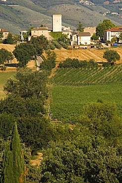 Cantina Rocca dei Fabbri, Montefalco, Umbria, Italy, Europe