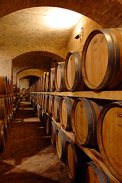 Cantine Scacciadiavoli, Montefalco, Umbria, Italy, Europe