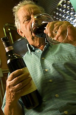 Paolo Bernocchi, Cantine Scacciadiavoli, Montefalco, Umbria, Italy, Europe