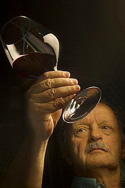 Paolo Bernocchi, Cantine Scacciadiavoli, Montefalco, Umbria, Italy, Europe