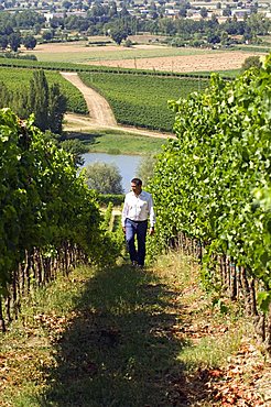 Marco Caprai, Cantine Arnaldo Caprai, Montefalco, Umbria, Italy, Europe