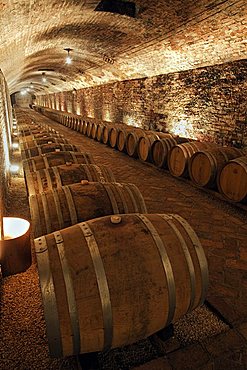 Contratto underground wine cathedral in Canelli, the barrels made by oak wood and named "barriques" where the wine is maturing,  Asti, Piedmont, Italy