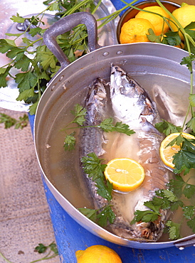 Boiled fish, Sicily, Italy