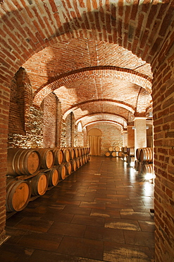 Gancia underground wine cathedral in Canelli, the barrels made by oak wood and named "barriques" where the wine is maturing, Asti, Piedmont, Italy, Europe