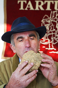 Moncalvo National Truffle Fair, a truffle seller checking the smell of his tuber (Tuber magnatum), Asti, Piedmont, Italy, Europe