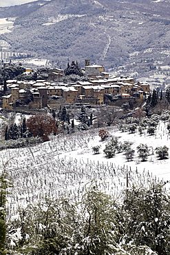 Chianti country,Montefioralle village,Tuscany,Italy, Europe