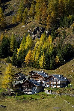 Biel Walser village, Gressoney-La-Trinite, Gressoney Valley, Aosta Valley, Italy, Europe