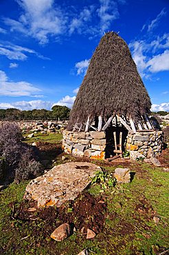 Coili Sa Bovida, Sheepfold, Giara di Gesturi basaltic upland, Marmilla, Medio Campidano Province, Sardinia, Italy