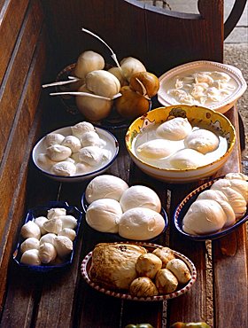 Plates with mozzarella di bufala fresh and smoked, Italy