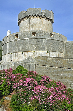 Minceta Tower, Walls of Dubrovnik, Grad old town, Dubrovnik, Dalmatia, Croatia, Europe