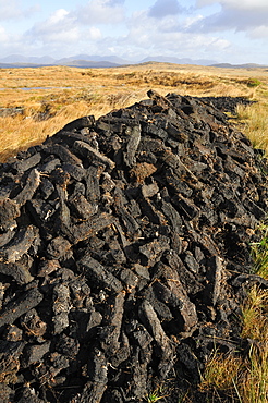 Drying of peat, Connemara, County Galway, Connacht, Republic of Ireland, Europe