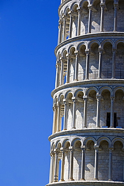 Pisa tower, Pisa, Tuscany, Italy, Europe