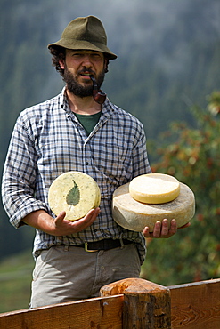 Agostino Manuel Cravos, milk processing, pasture Arnv=, Breguzzo valley, Giudicarie valley, Adamello Brenta Park, Trentino, Italy