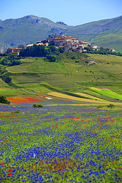 Landscape, Castelluccio di Norcia, Umbria, italy,Europe