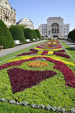 Piata Victoriei, Victoriei Square, Timisoara, Banato, Romania, Europa