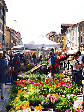 Fiori sul Naviglio, Sunday garden and flower's market, Naviglio Grande, Milan, Lombardy, Italy, Europe