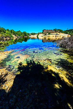 Solfatara, Nature Reserve di Malafede Decima; Pontina,  Rome; Lazio; Italy; Europe