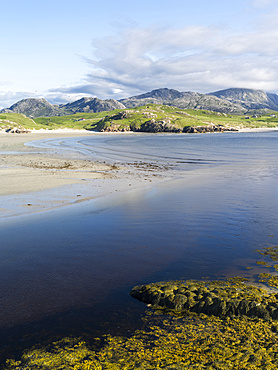 Isle of Lewis, part of the island Lewis and Harris in the Outer Hebrides of Scotland. The Uig Bay ( Traigh Uuige) with bladder wrack (Fucus vesiculosus). Europe, Scotland, July