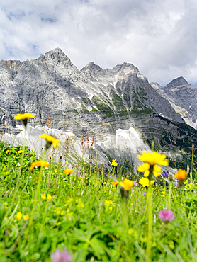 Karwendel Mountain Range between Johannestal and Birkkar-Spitze, the highest peak of the Karwendel Mts., Austria.   The Karwendel limestone mountain range is the largest range in the eastern alps. Large parts of the Karwendel are protected and a popular destination for tourists, hikers and climbers. Europe, Central Europe, Austria, Tyrol, July