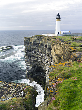 The cliffs at Noup Head with noup head lighthouseon the island of Westray in the Orkney Islands.The cliffs are extending for miles, are home to one of the largest sea bird colonies in the UK and are a RSPB Reserve. europe, central europe, northern europe, united kingdom, great britain, scotland, northern isles,orkney islands, June