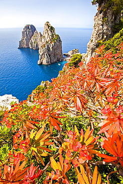 View at sea and Faraglioni rocks in the sunlight, Capri, Italy, Europe