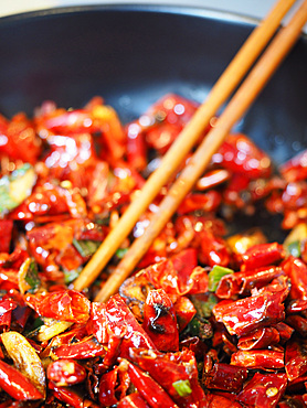 Diced rabbit, sautéed with leeks, chilli and Sichuan pepper, Le Nove Scodelle, The Nine Bowls, Chinese restaurant, Sichuan cuisine, Milan, Lombardy, Italy, Europe