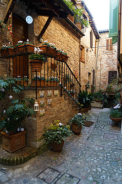 Historical center, Spello, Umbria, Italy, Europe