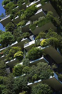 Bosco Verticale, Vertical Forest is a pair of residential towers designed by Boeri Studio in the Porta Nuova district, Bosco Verticale won the International Highrise Award, Milan, Lombardy, Italy, Europe