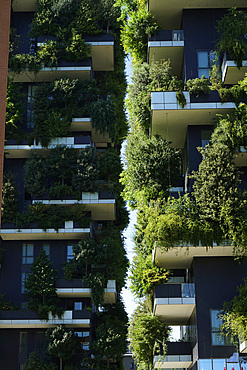 Bosco Verticale, Vertical Forest is a pair of residential towers designed by Boeri Studio in the Porta Nuova district, Bosco Verticale won the International Highrise Award, Milan, Lombardy, Italy, Europe