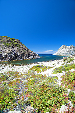 Cala Fico, Carloforte, Island of San Pietro, Sardinia, Italy, Europe