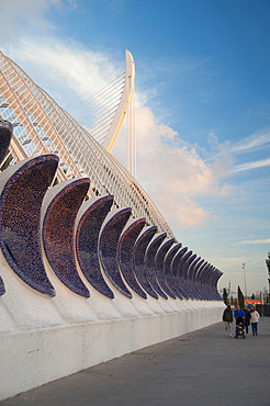 LUmbracle, Ciutat de les Arts i les Ciències, Valencia, Spain, EuropeValencia; Park; Modern; Build; Spain; Europe; Cityscape; Museum; Oceanographic; Hemisferic; Architecture; Bridge; Sail; Reina; Palace; Square; Building; Business; Art; Science; City; Calatrava; Candela; Christmas; Xmas; Horizontal; Vertical