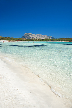 Cove Brandinchi, San Teodoro, Sardinia, Italy, EuropeOasis; Brandinchi; Teodoro; Park; Marine; Sand; White; Sea; Sardinia; Coast; East; View; Seascape; Tavolara; Horizontal; Vertical