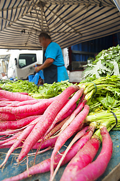 Radishes, Sardinia, Italy, Europe