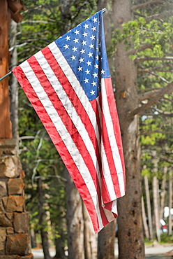 American Flag on woods background.