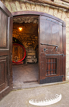 Cantine Pietratorcia winery, Forio d'Ischia, Ischia island, Campania, Italy, Europe