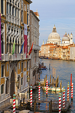 Punta della Dogana, La Salute church, Venice, Veneto, Italy, Europe.