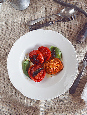 Roasted tomatoes with fresh basil, Italy, Europe